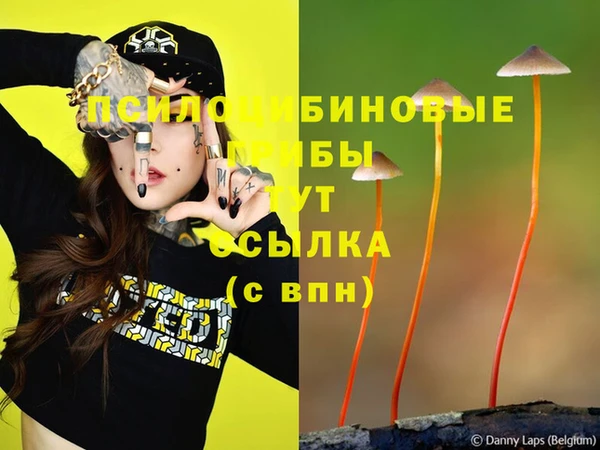 PSILOCYBIN Алексин