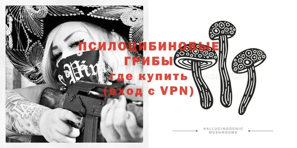 PSILOCYBIN Алексин