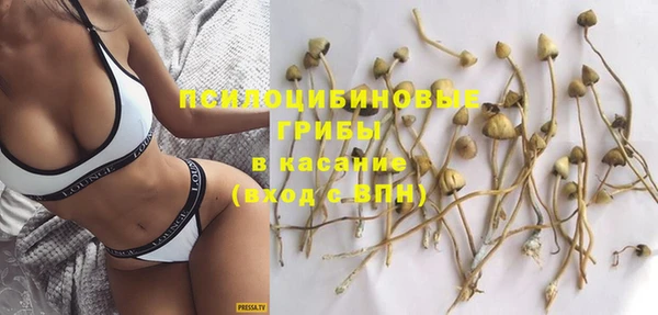 ешки Алзамай